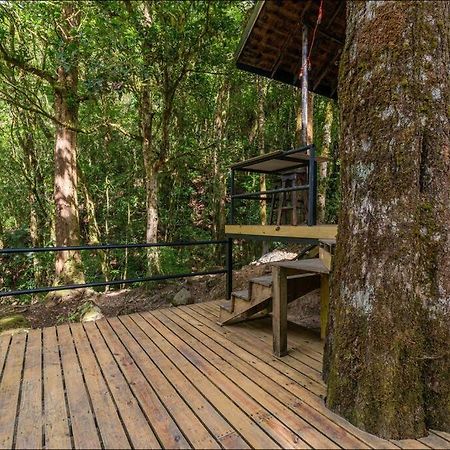 Unicorn Lodge: Direct Riverfront : Unique Experience San Gerardo de Dota Ngoại thất bức ảnh