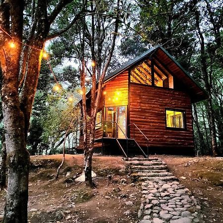 Unicorn Lodge: Direct Riverfront : Unique Experience San Gerardo de Dota Ngoại thất bức ảnh