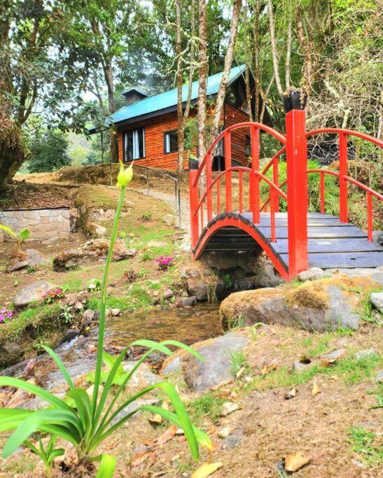 Unicorn Lodge: Direct Riverfront : Unique Experience San Gerardo de Dota Ngoại thất bức ảnh