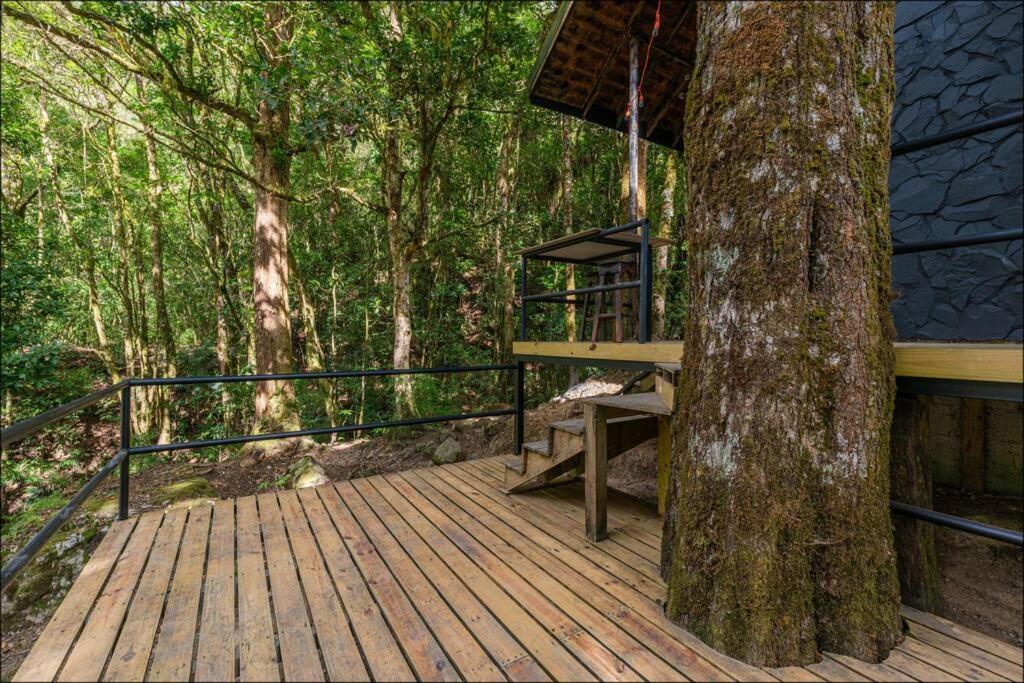 Unicorn Lodge: Direct Riverfront : Unique Experience San Gerardo de Dota Ngoại thất bức ảnh