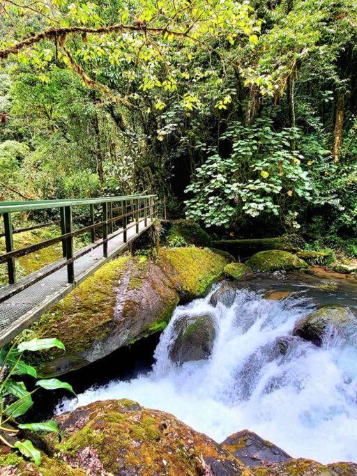 Unicorn Lodge: Direct Riverfront : Unique Experience San Gerardo de Dota Ngoại thất bức ảnh