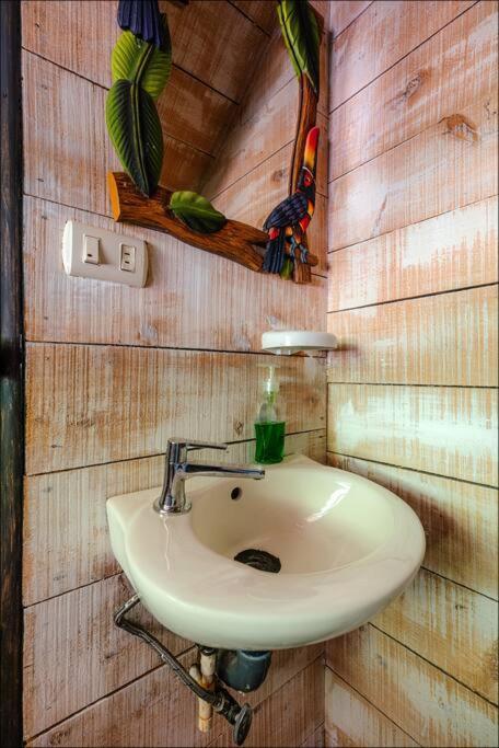 Unicorn Lodge: Direct Riverfront : Unique Experience San Gerardo de Dota Ngoại thất bức ảnh