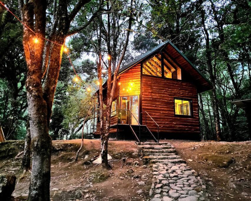 Unicorn Lodge: Direct Riverfront : Unique Experience San Gerardo de Dota Ngoại thất bức ảnh