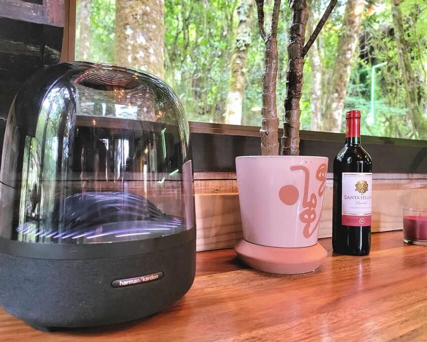 Unicorn Lodge: Direct Riverfront : Unique Experience San Gerardo de Dota Ngoại thất bức ảnh