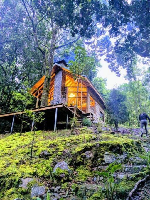 Unicorn Lodge: Direct Riverfront : Unique Experience San Gerardo de Dota Ngoại thất bức ảnh