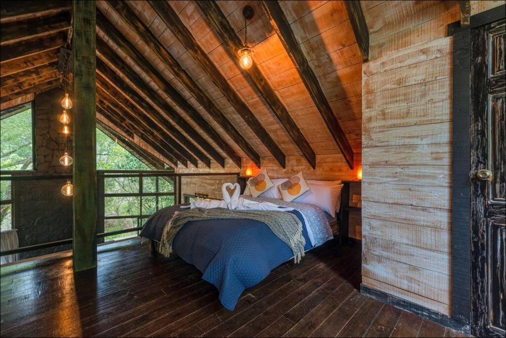 Unicorn Lodge: Direct Riverfront : Unique Experience San Gerardo de Dota Ngoại thất bức ảnh