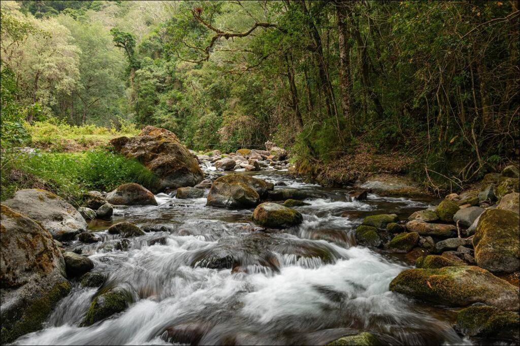 Unicorn Lodge: Direct Riverfront : Unique Experience San Gerardo de Dota Ngoại thất bức ảnh