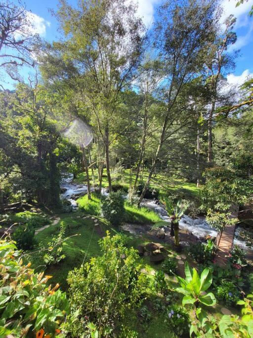 Unicorn Lodge: Direct Riverfront : Unique Experience San Gerardo de Dota Ngoại thất bức ảnh