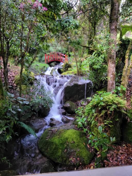 Unicorn Lodge: Direct Riverfront : Unique Experience San Gerardo de Dota Ngoại thất bức ảnh