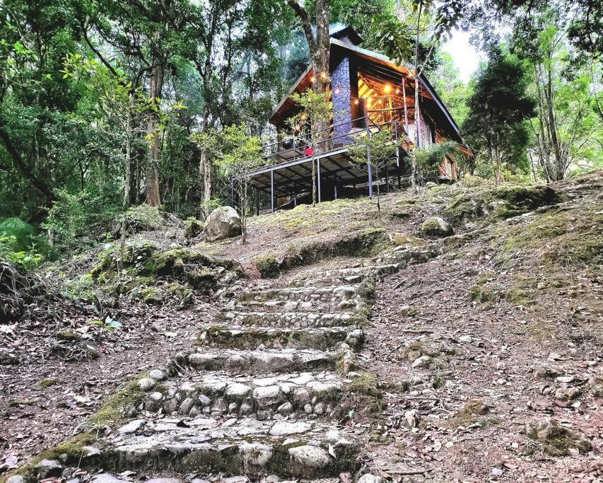 Unicorn Lodge: Direct Riverfront : Unique Experience San Gerardo de Dota Ngoại thất bức ảnh