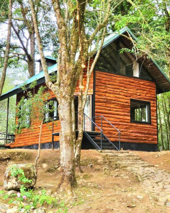 Unicorn Lodge: Direct Riverfront : Unique Experience San Gerardo de Dota Ngoại thất bức ảnh