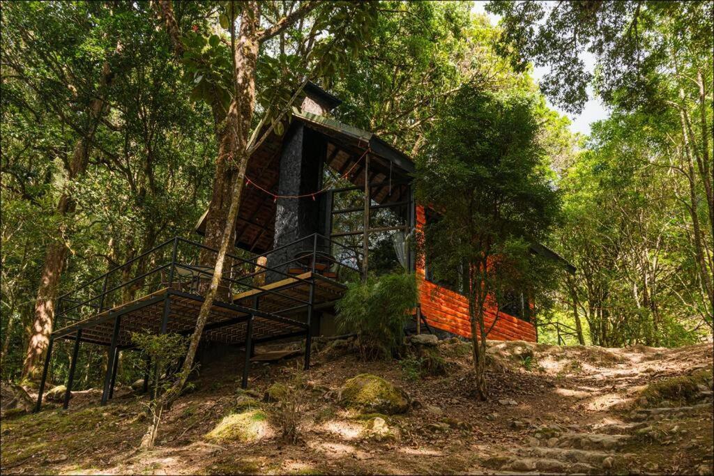Unicorn Lodge: Direct Riverfront : Unique Experience San Gerardo de Dota Ngoại thất bức ảnh