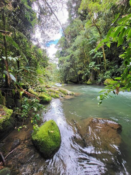 Unicorn Lodge: Direct Riverfront : Unique Experience San Gerardo de Dota Ngoại thất bức ảnh